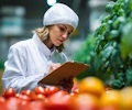 Grado en Nutrición y Dietética vs. Grado Superior en Dietética: diferencias y convalidación
