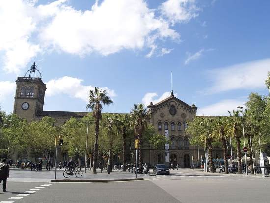 Becas de la Universidad de Barcelona noticiaAMP